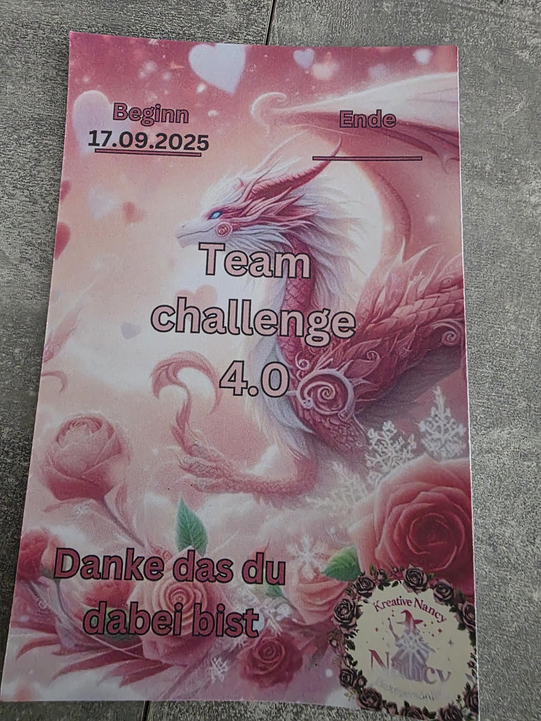 teamchallenge 4.0 Artikelnummer 090
